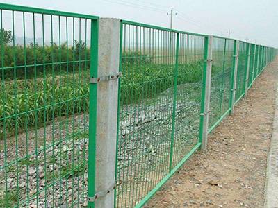綠化護(hù)欄網(wǎng)圖片2 綠化護(hù)欄網(wǎng)圖片2