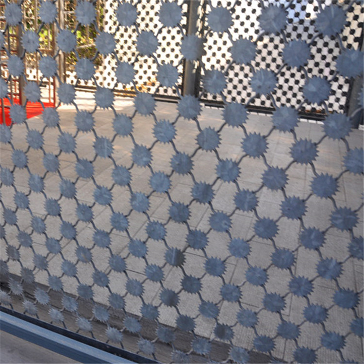 監(jiān)獄梅花刺鐵絲網圖片3