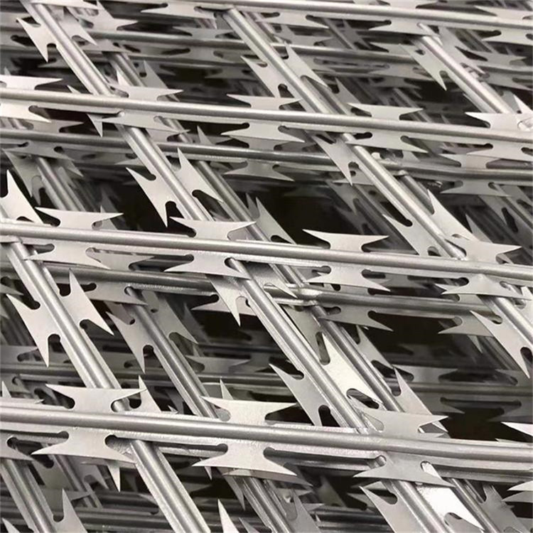 螺旋式刀片刺網(wǎng)圖片4 螺旋式刀片刺網(wǎng)圖片4