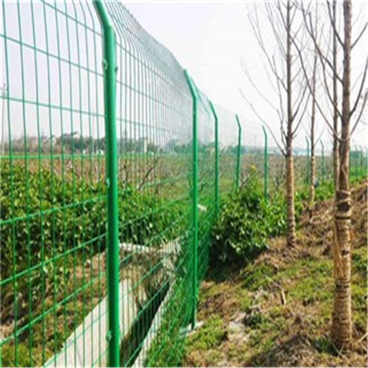 防攀爬護欄網圖片4