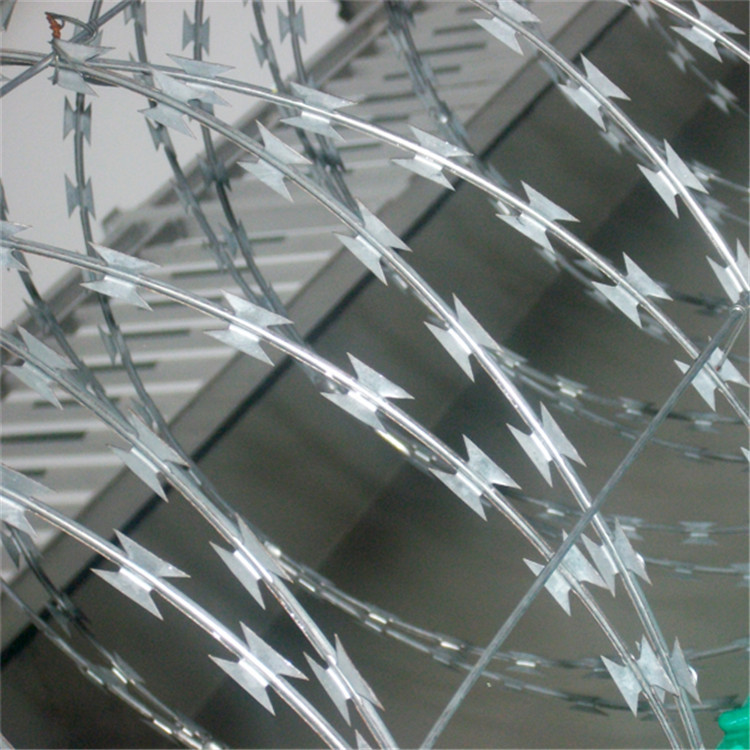 別墅防盜刀刺網(wǎng) 圖片1 別墅防盜刀刺網(wǎng) 圖片1